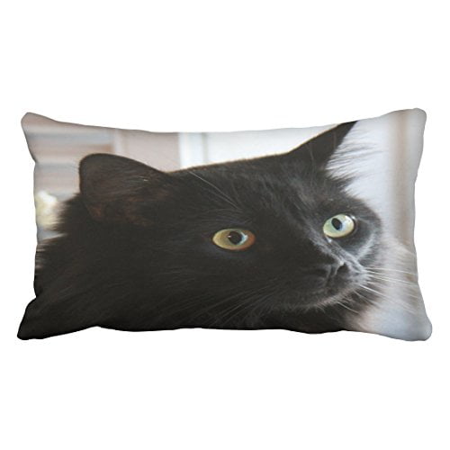 rouihot Set of 4 Linen Throw Pillow Covers 16x16 Inch Vintage Halloween Scaredy Cats Pumpkins Skeletons Home Decor Pillowcase Square Cushion Covers for Sofa Bed Couch rouihot Set of 4 Linen Throw Pillow Covers 16x16 Inch Vintage Halloween Scaredy Cats Pumpkins Skeletons Home Decor Pillowcase Square Cushion Covers for Sofa Bed Couch